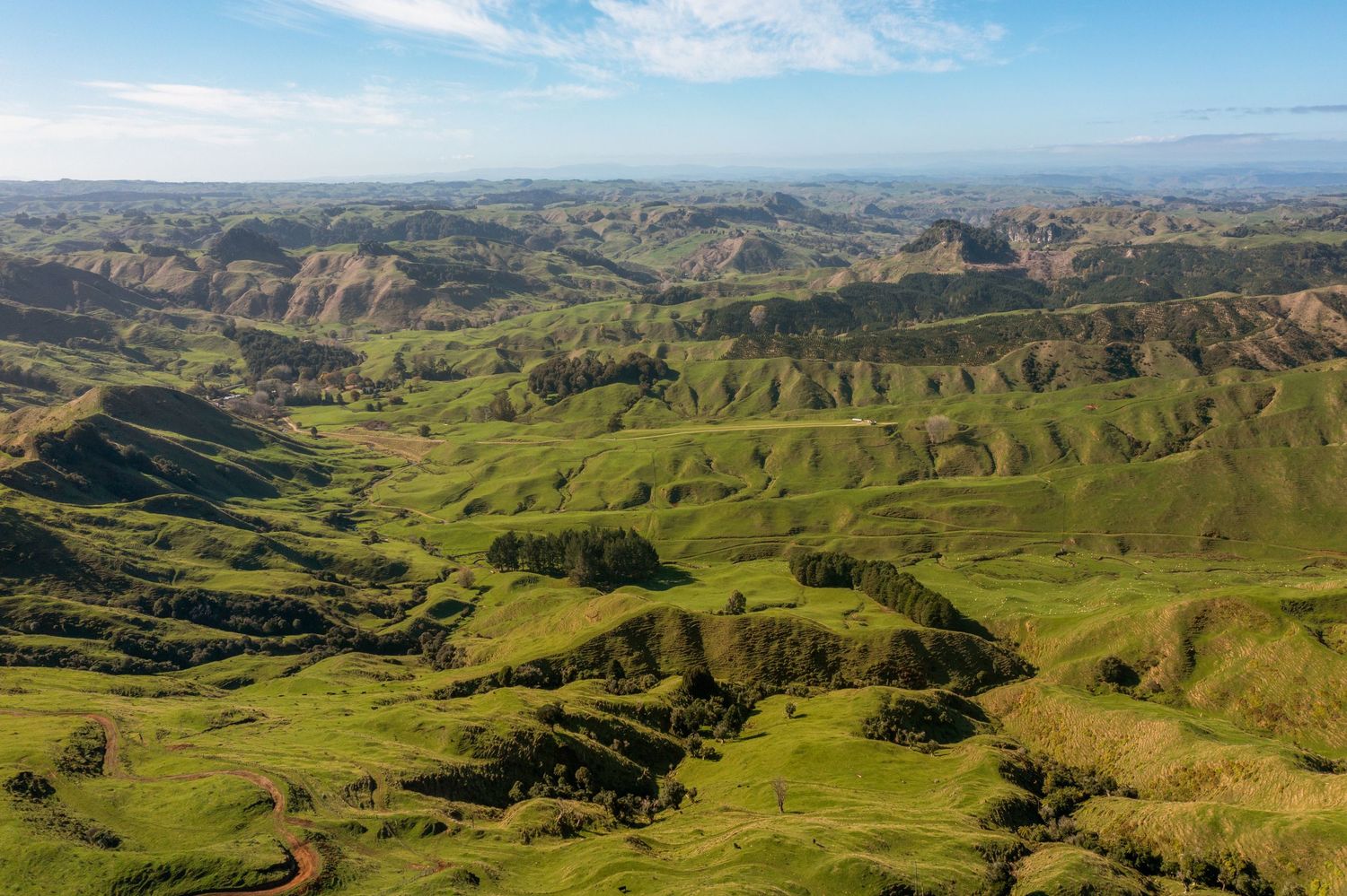 Rolling green hills stretch across a vast New Zealand landscape under blue sky with scattered clouds.