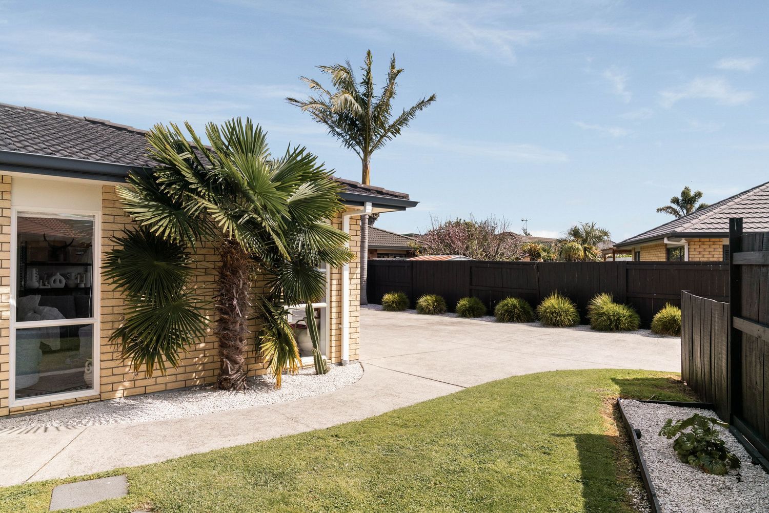Modern backyard landscaping with curved lawn, paved patio area, and tropical palm trees against a residential home exterior.