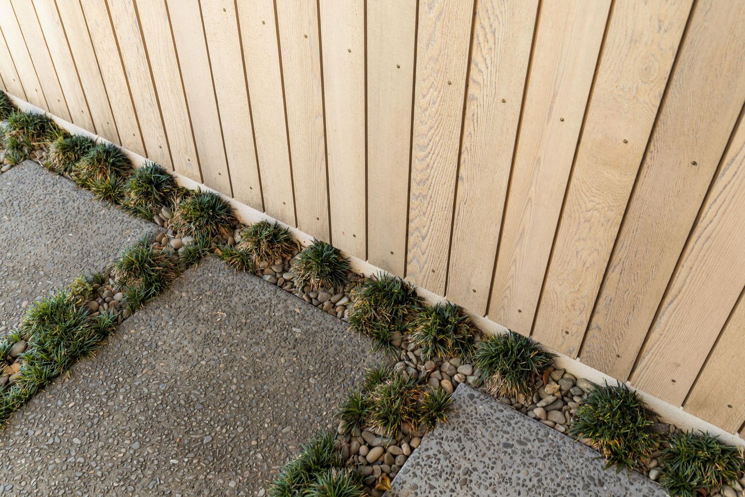 Moss growing between concrete slabs and a wooden fence creates a natural geometric pattern.