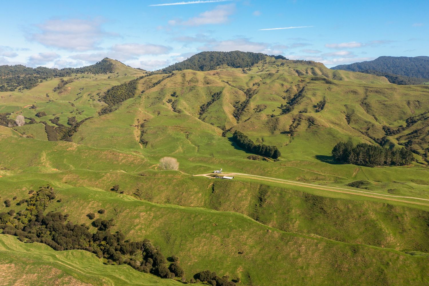 Aerial view of rolling green hillsides with winding dirt road and mountain ranges in the distance under blue skies.
