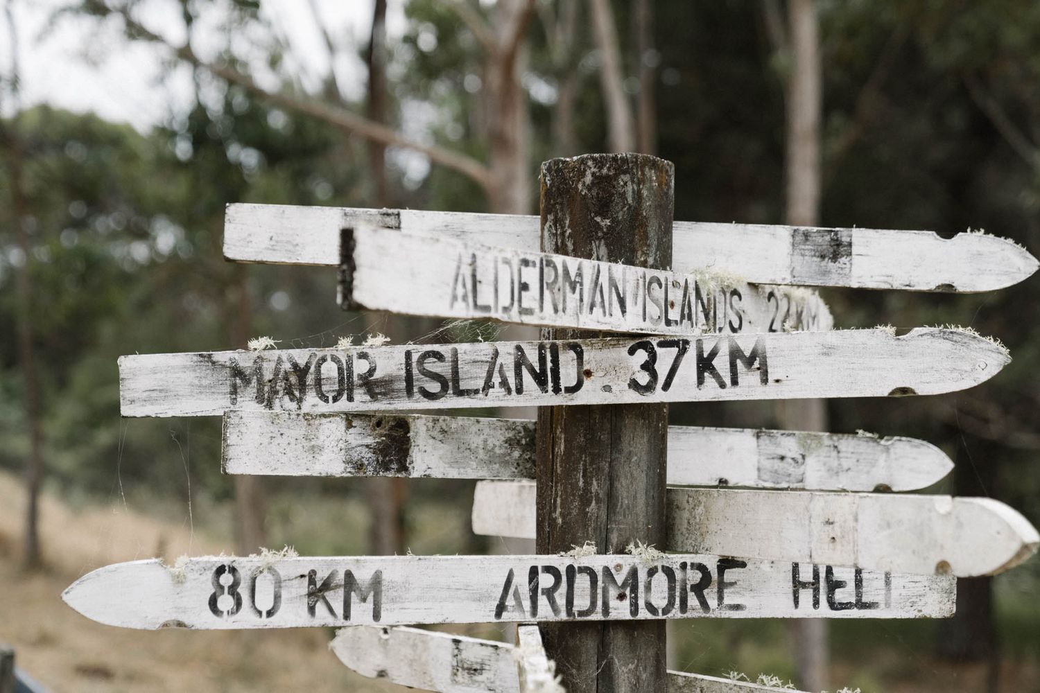 White rustic wooden directional signs in a rural setting point towards 'Golden Plains' and 'Ardmore Creek'.