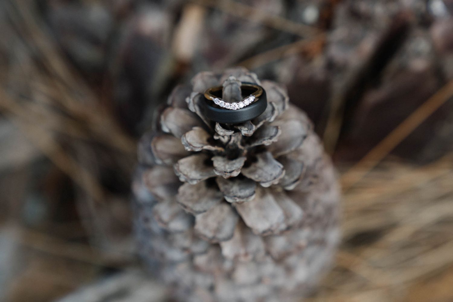 A close-up macro shot of a silver wedding ring balanced on top of a gray pinecone.