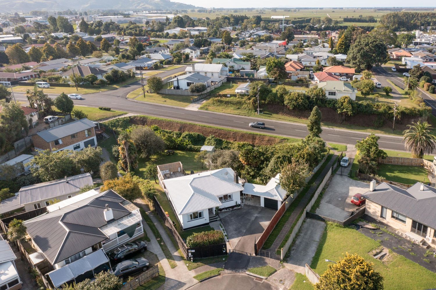 Aerial view of suburban neighborhood with white houses and green yards.