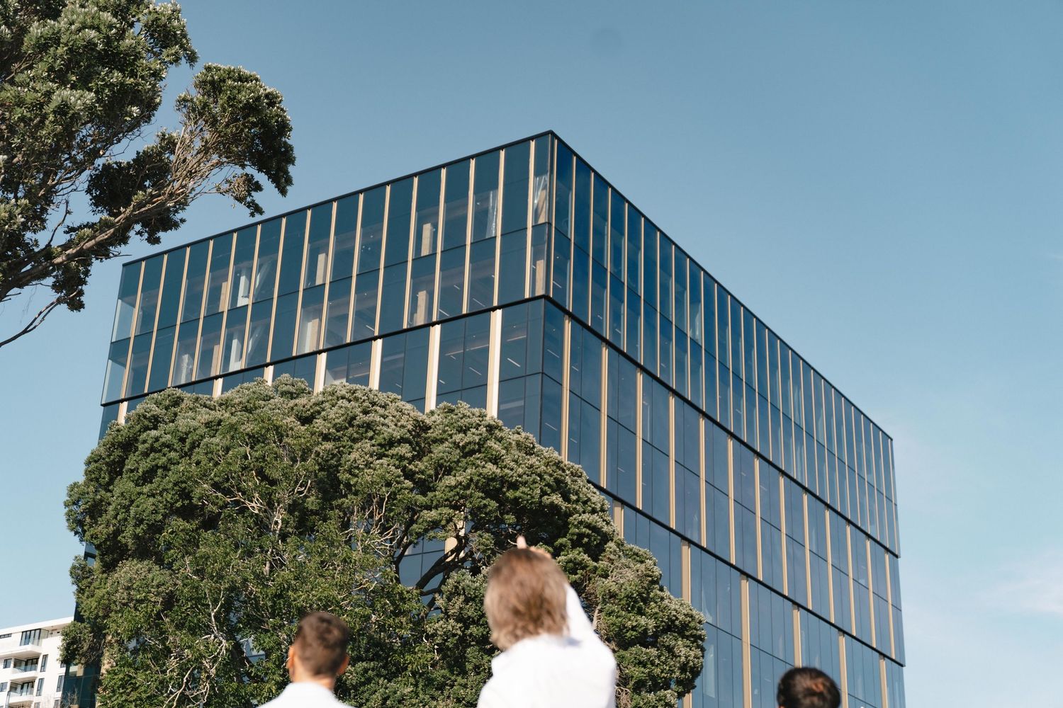 Modern glass office building with reflective windows framed by large trees against blue sky.