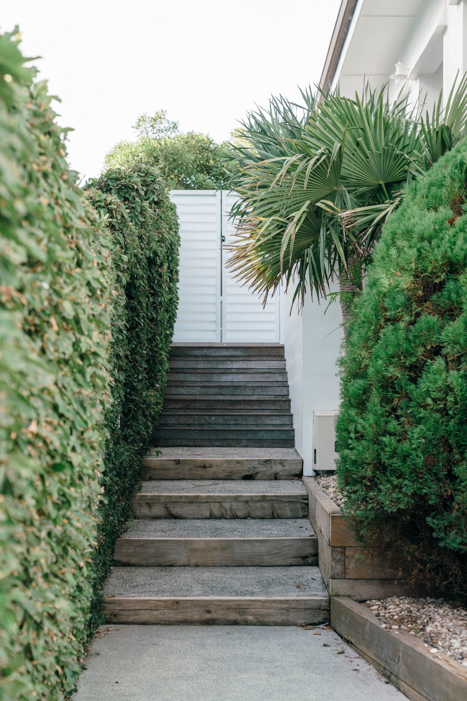 Wooden steps bordered by lush green hedges and palm plants lead up to a white exterior wall.