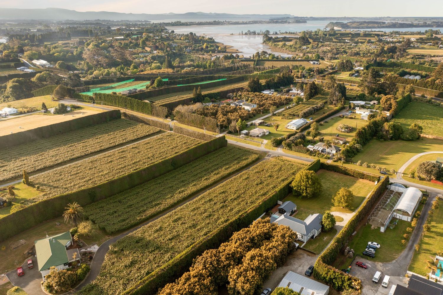Aerial rural landscape view of developed farmland and houses along the waterfront near Tasmania's Coal River.