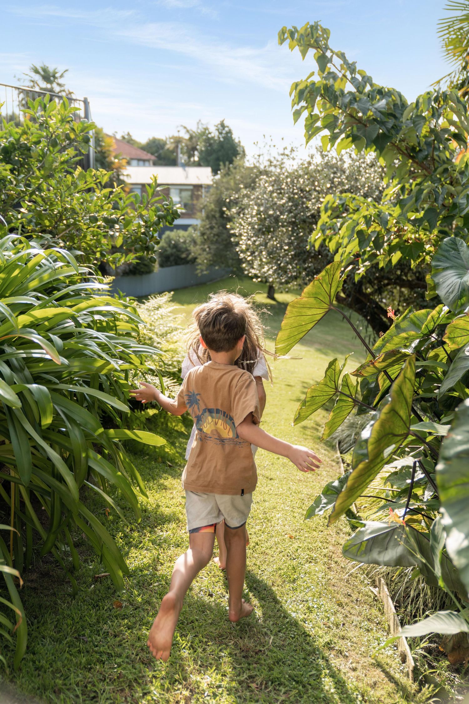 A lush garden path winds through tropical plants and greenery on a sunny day.