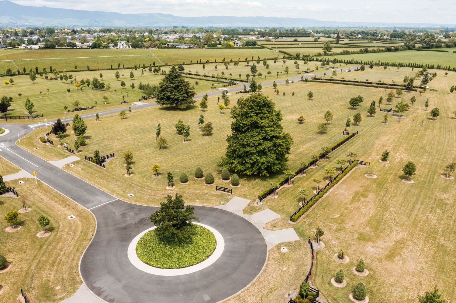 Curved road winding through an open field with young trees and landscaping in a residential development.