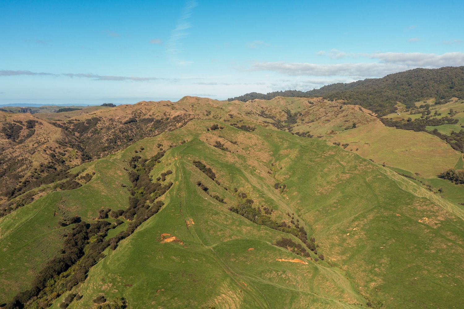 Aerial view of rolling green hills and mountainous terrain under bright blue sky in coastal landscape.