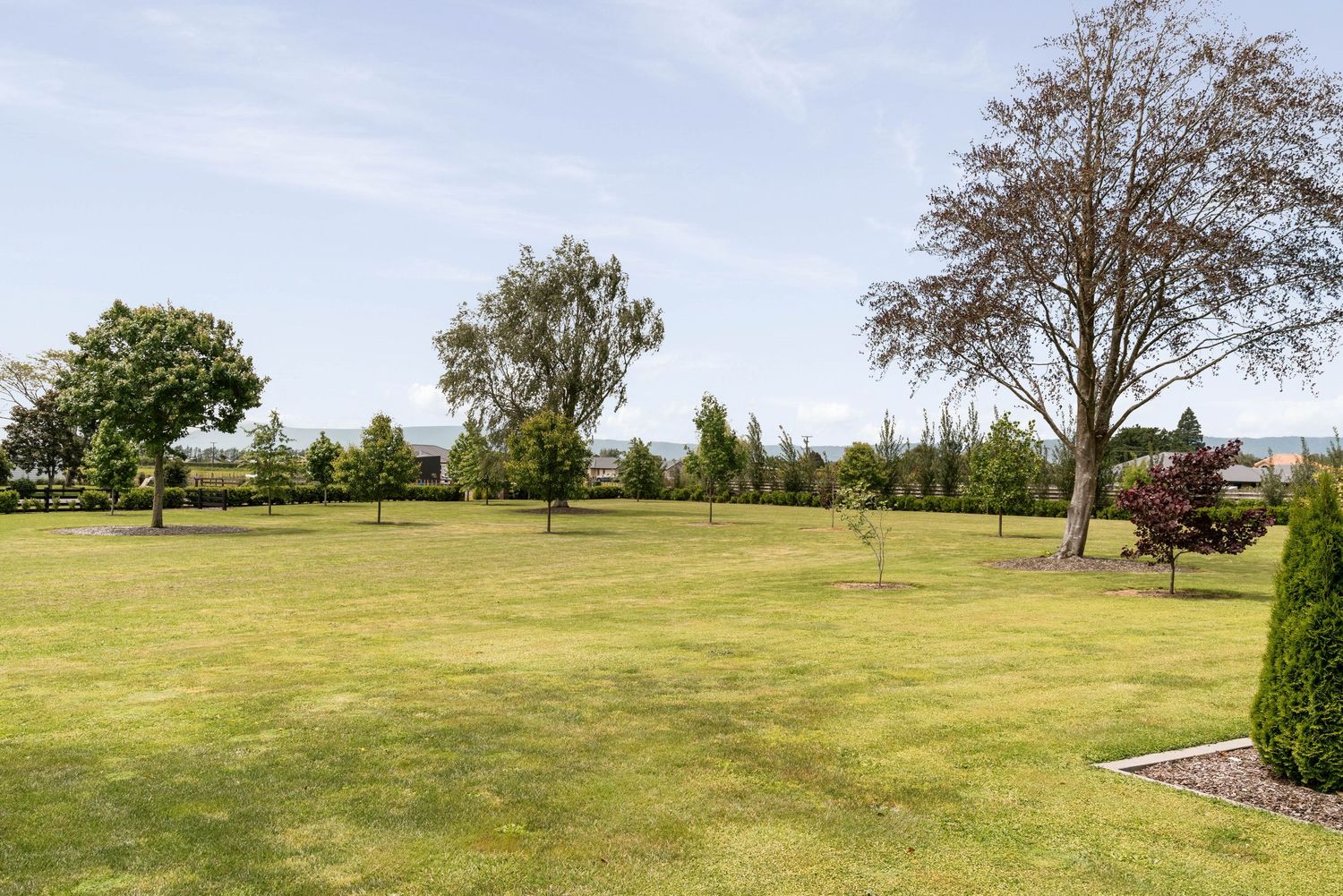Aerial view of green rolling hills with scattered trees and grass in a rural setting.