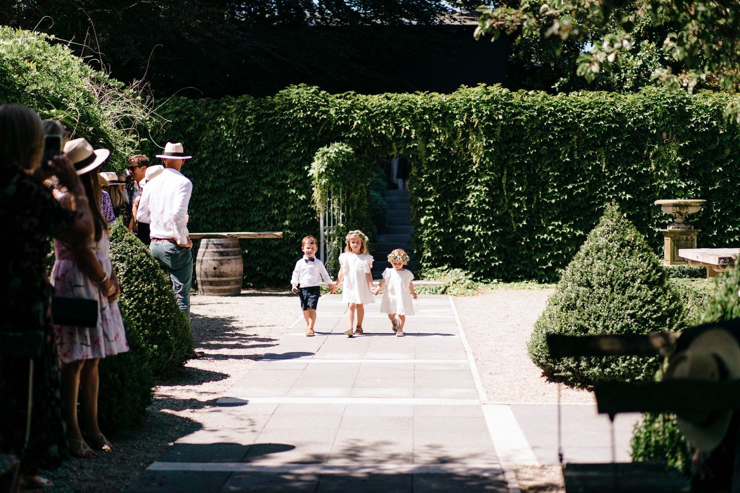 Wedding guests walking along a sunlit garden path lined with lush green hedges.
