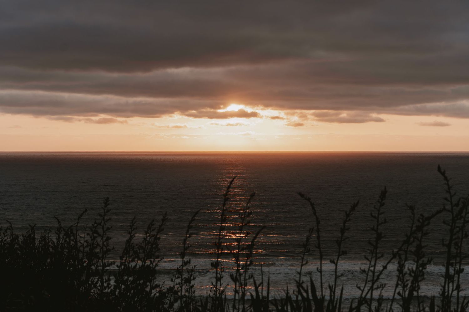 A moody sunset over dark ocean waters with tall beach grass silhouetted in the foreground.