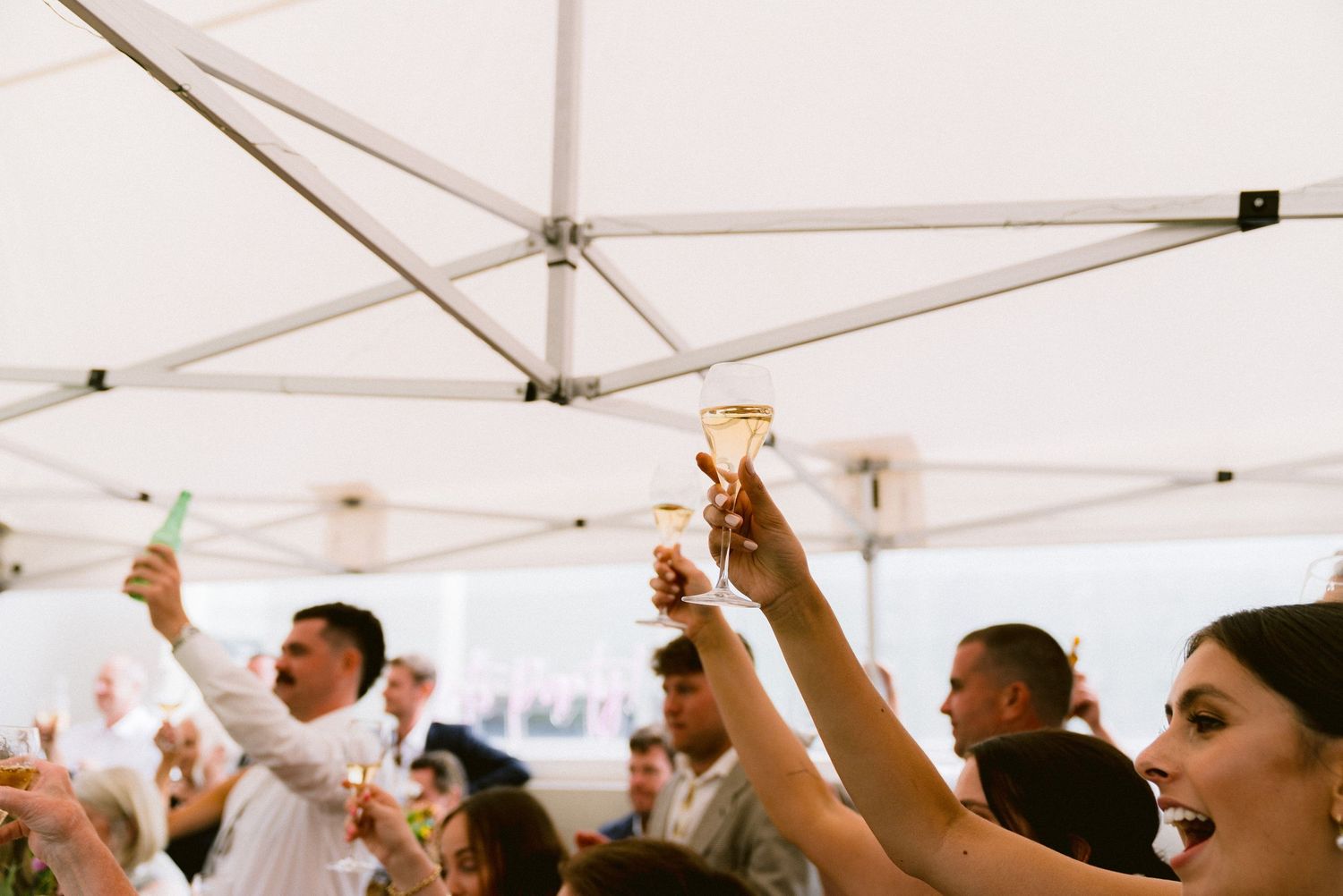 Wedding guests raising their glasses in a toast during an outdoor reception celebration.