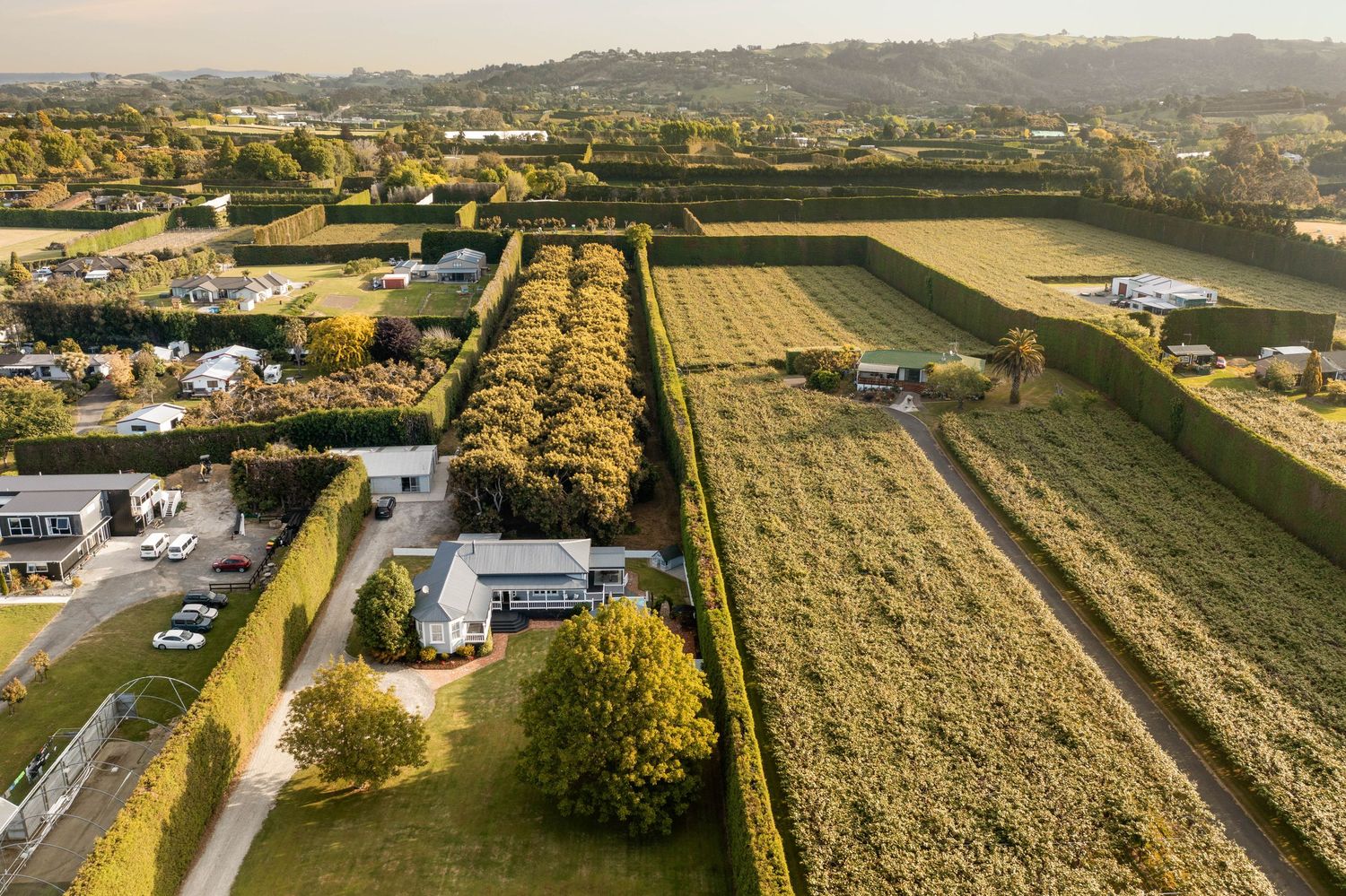 Aerial panorama showcases green agricultural fields and rural properties stretching across rolling countryside at sunset.
