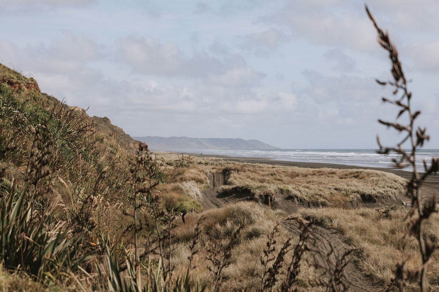 A panoramic view of rolling coastal hills with native vegetation and a misty ocean in the background.