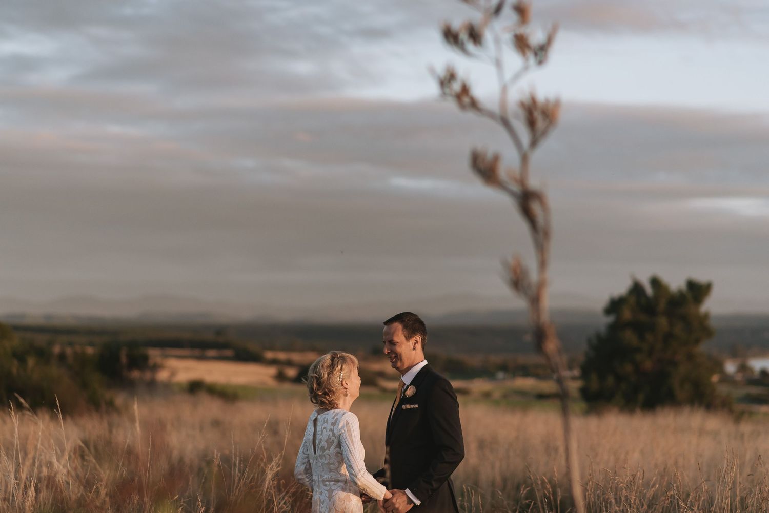 A wedding couple shares an intimate moment in a golden field at sunset with distant mountains creating a dramatic backdrop.