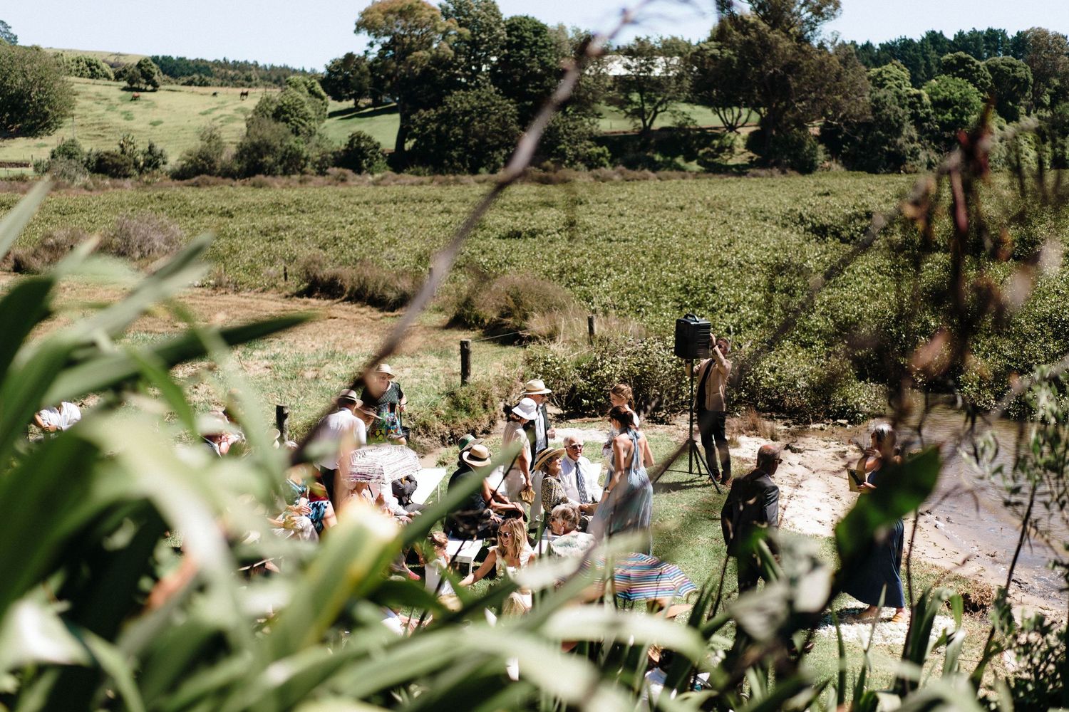 Wedding guests gathered on grassy hillside viewed through natural foliage.
