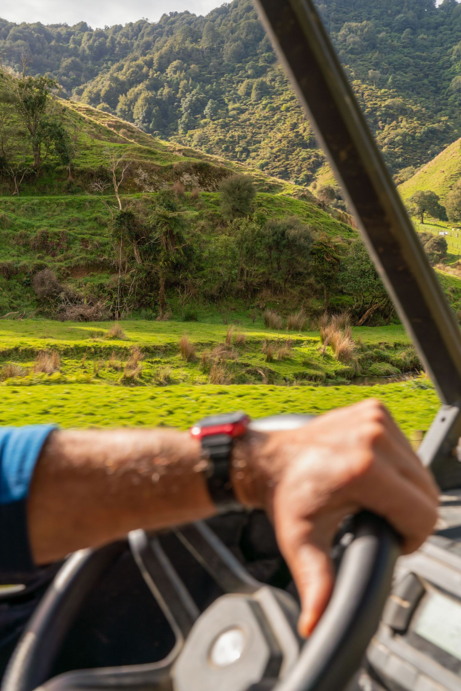 View from inside vehicle showing steering wheel and green pastoral landscape through windshield.