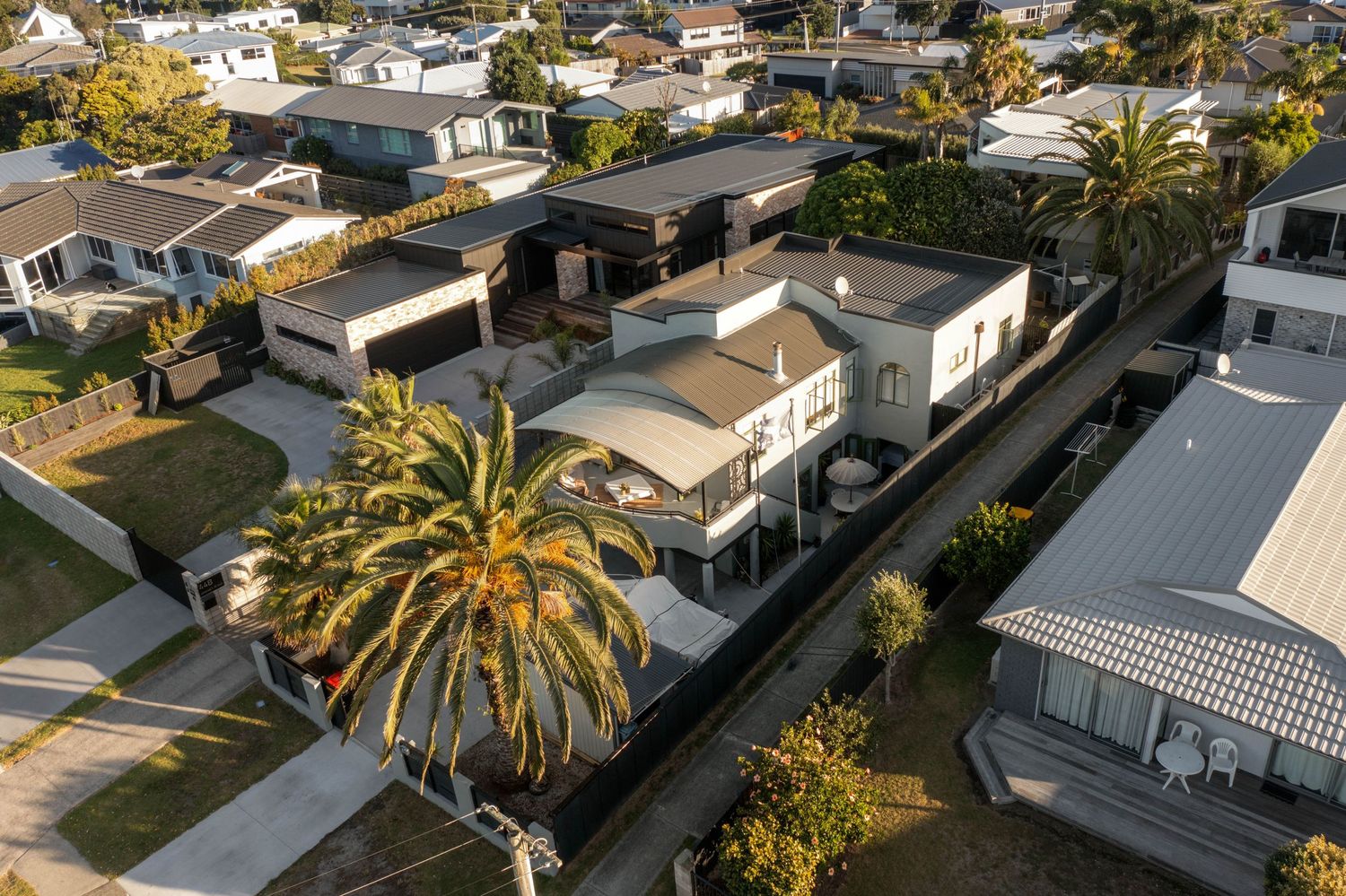 Aerial view of residential neighborhood with palm trees and modern homes in suburban setting.