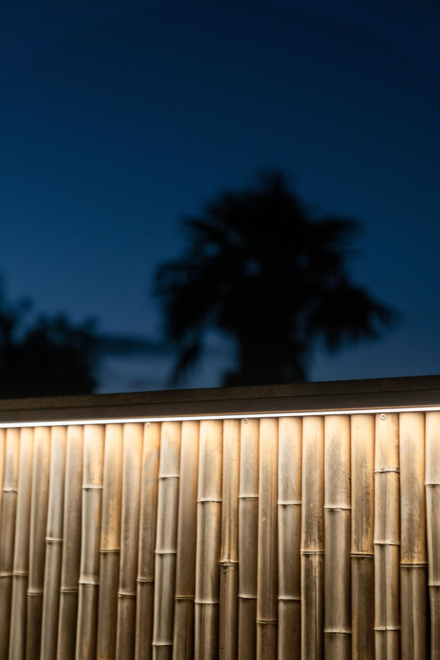 Illuminated bamboo wall panel at night with palm tree silhouette against dark blue sky.