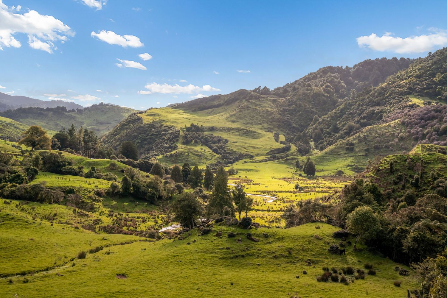 Stunning valley landscape with rolling green hills and scattered trees under blue sky.