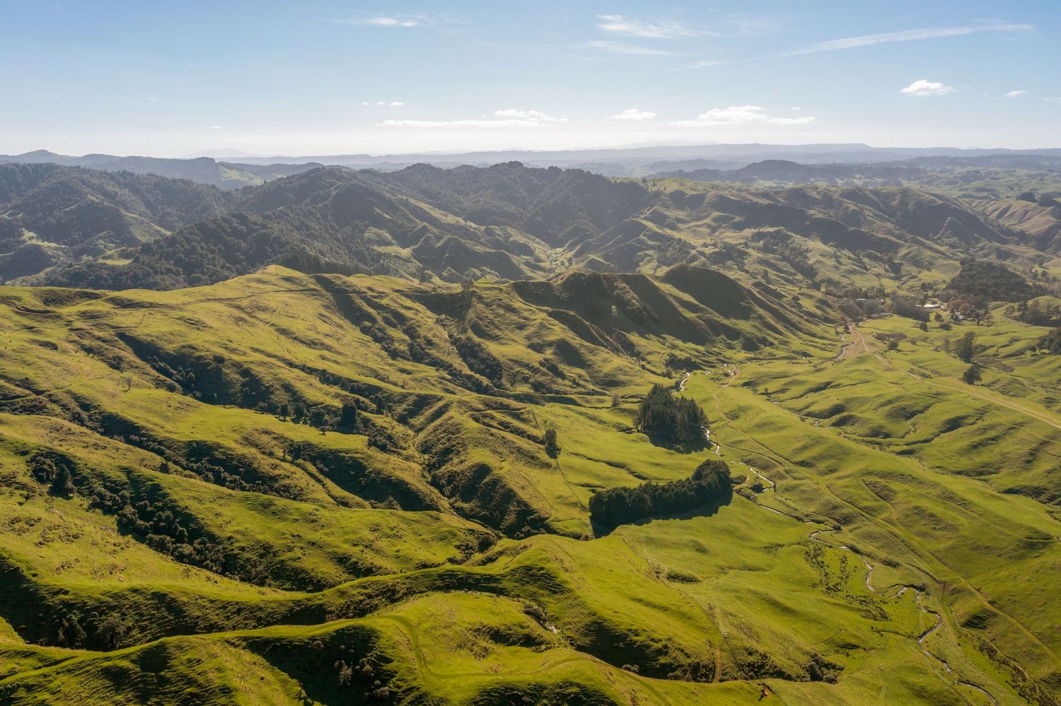 Rolling green hills stretch across California's pastoral landscape under a bright blue sky and scattered clouds.