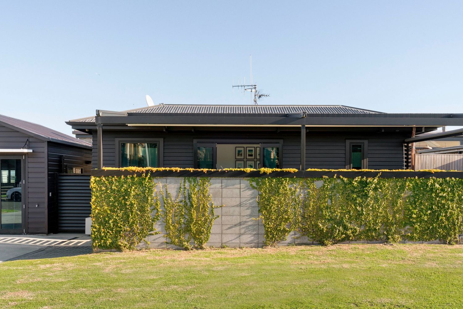 Modern house exterior with dark cladding and bamboo garden screening along the front lawn.