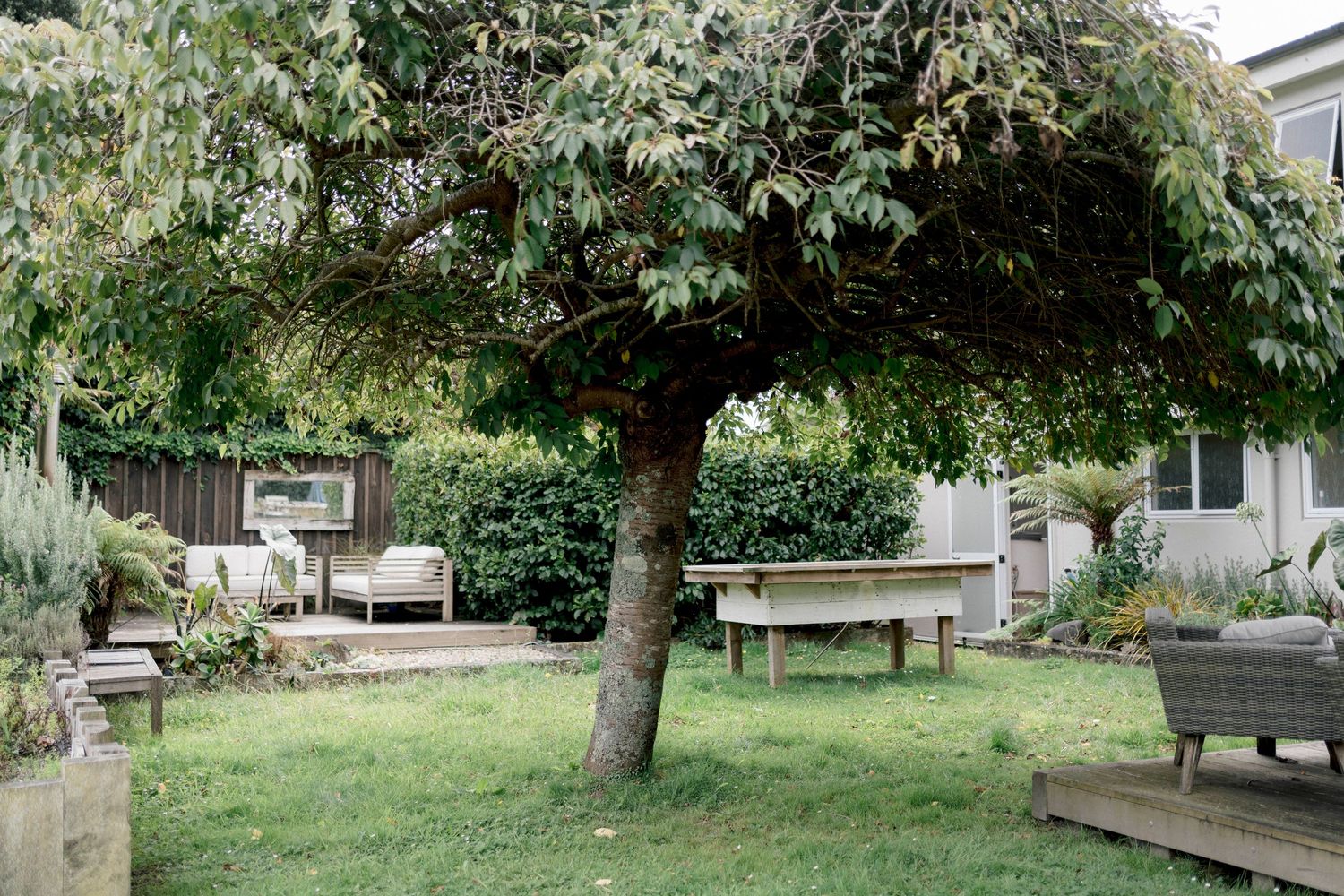 A cozy backyard garden setting with a mature tree, patio furniture and planter boxes arranged on green lawn.