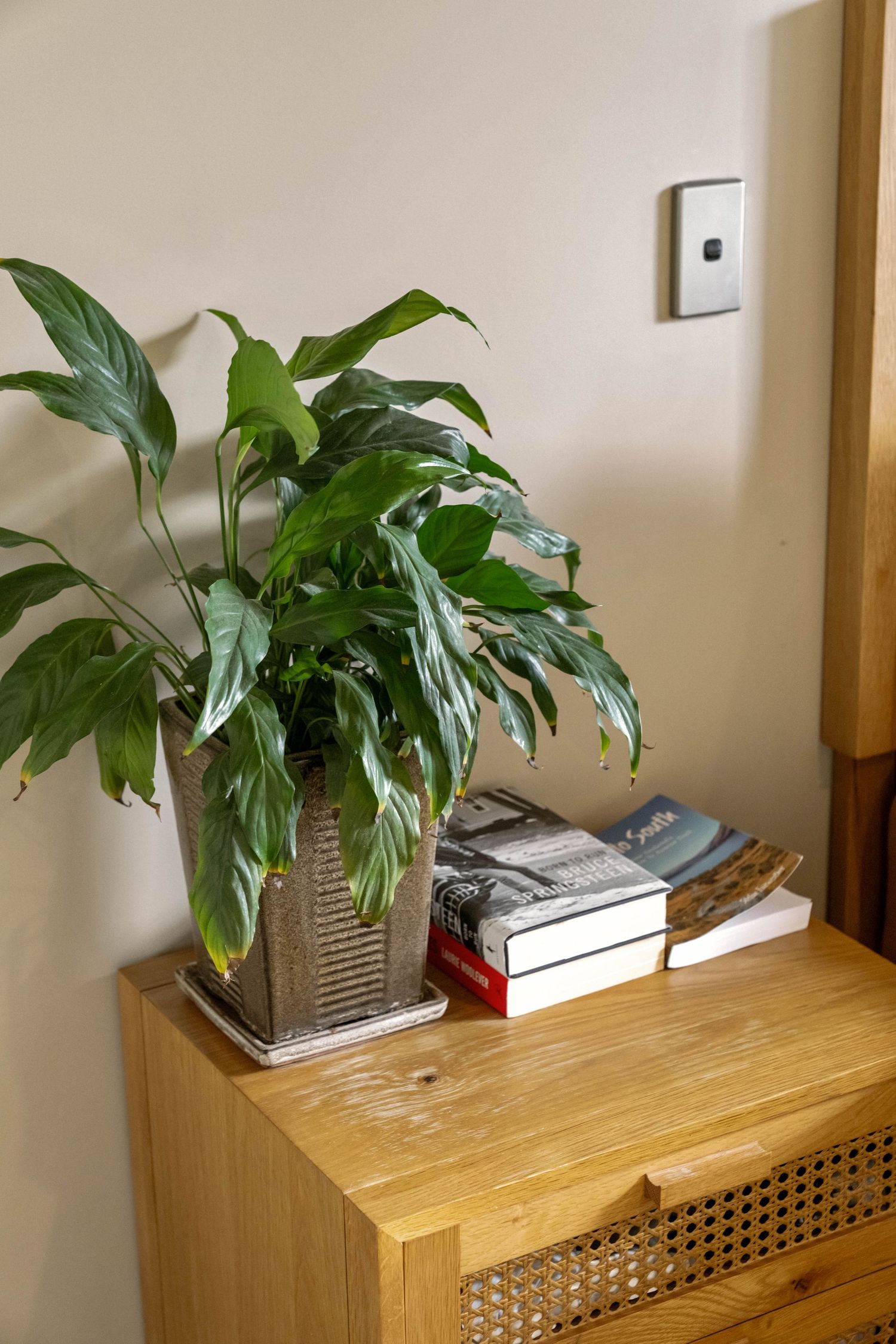 Several houseplants in pots line a wooden console table against a beige wall with a light switch.