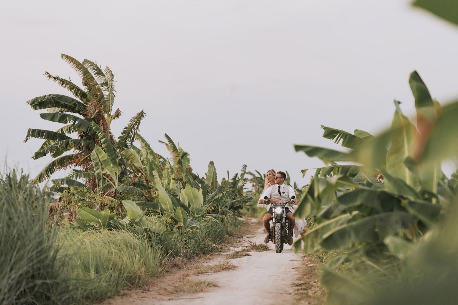 Wedding party walks through lush banana plantation pathway during golden hour photography session.