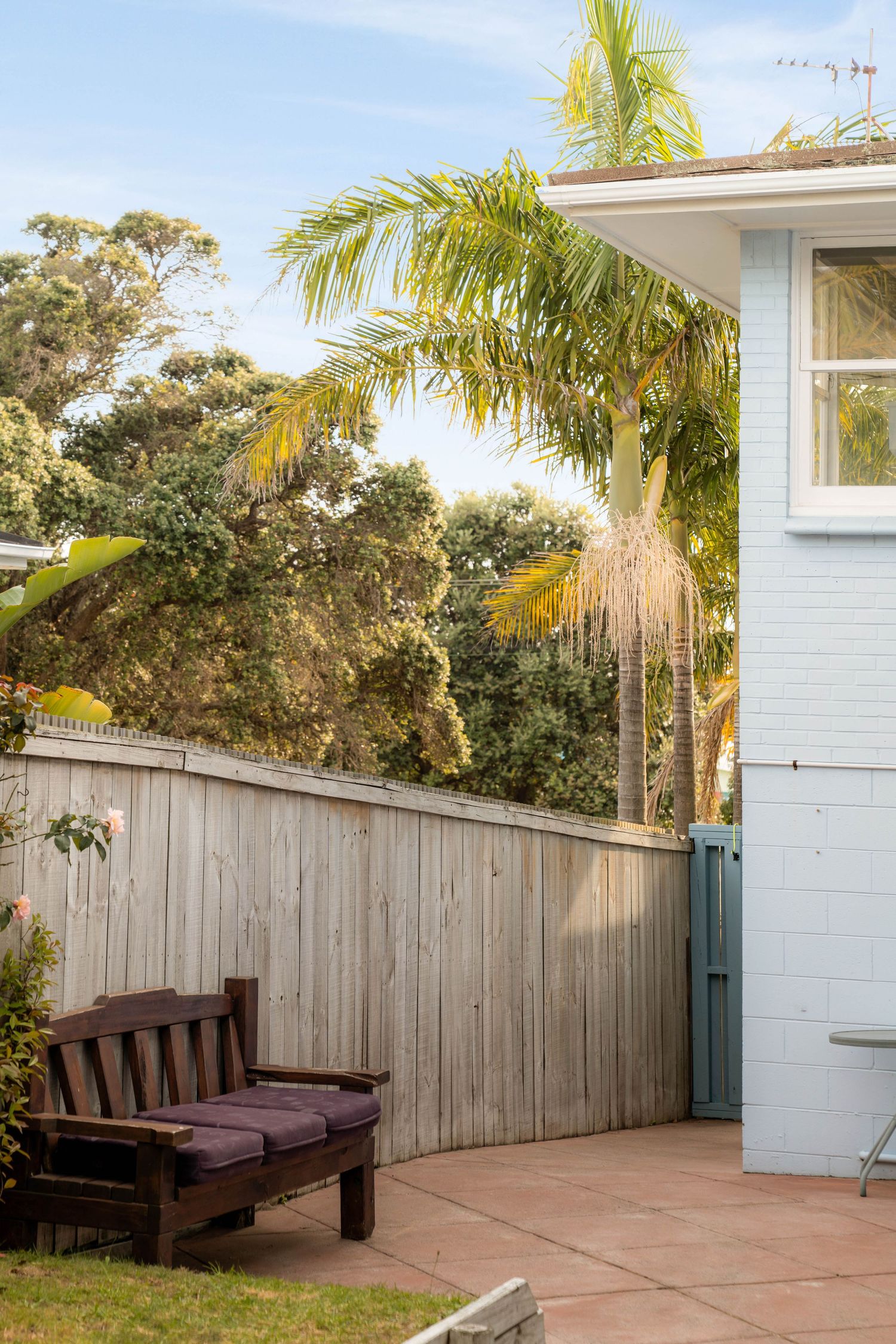 Tranquil outdoor patio corner with wooden bench seating against fence backdrop and swaying palm trees overhead.