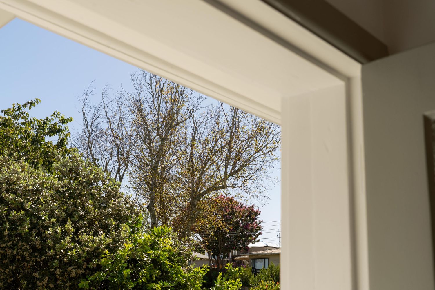 White framed arched doorway and windows of a modern home with a view of trees and greenery outside.