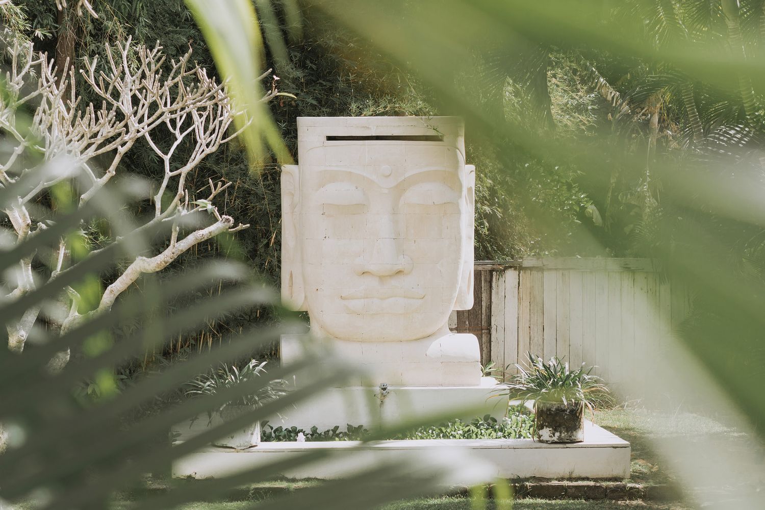 A sculptural stone face peeks through tropical foliage in a serene garden setting.