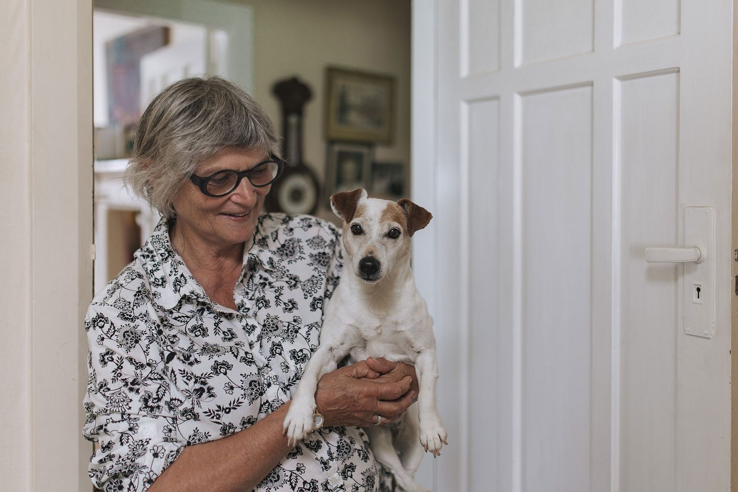 A black and white patterned shirt-wearing person holds a small Jack Russell terrier dog near a white door.