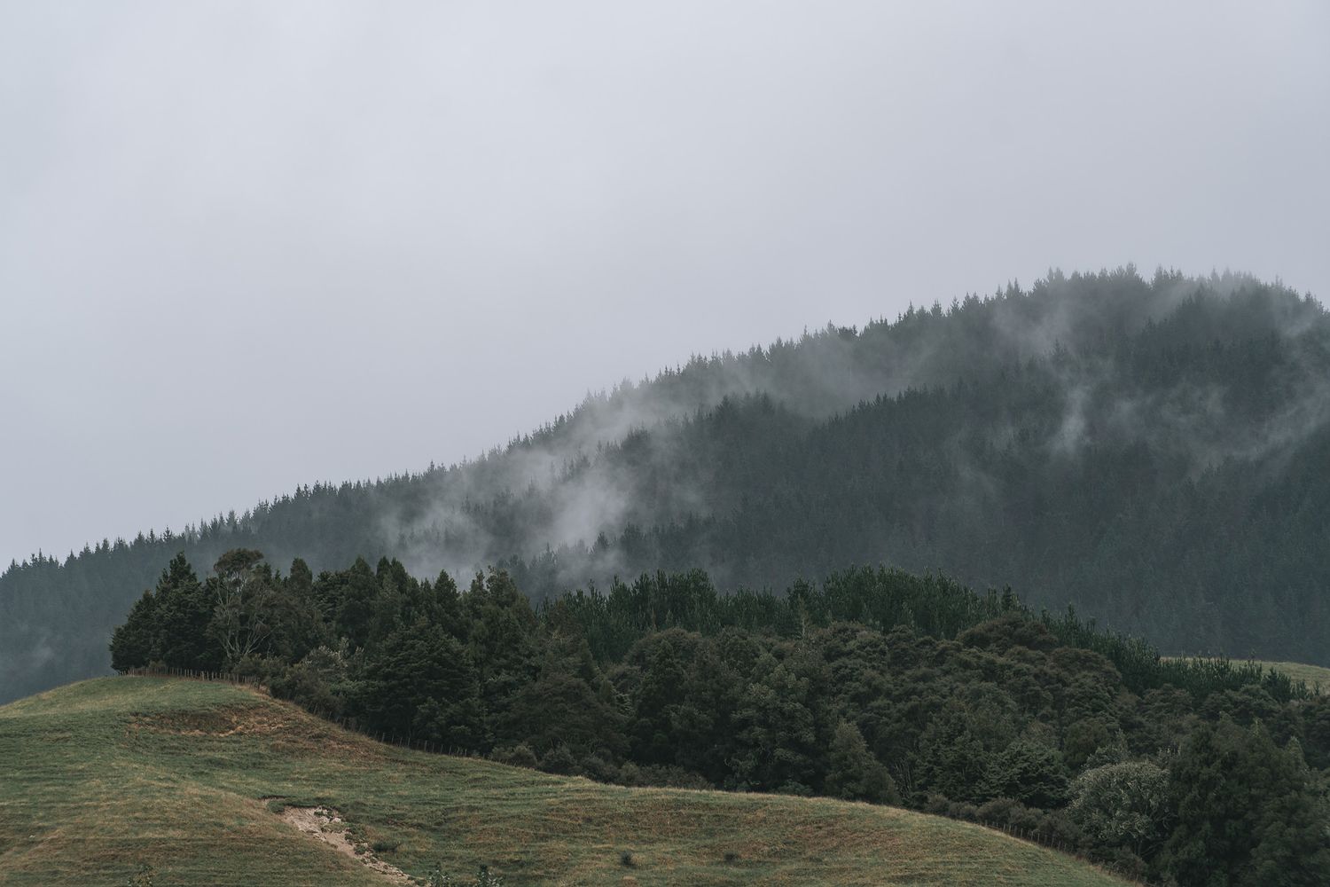 Misty mountain ridge covered in evergreen forest with low-lying clouds creating a moody atmospheric landscape.