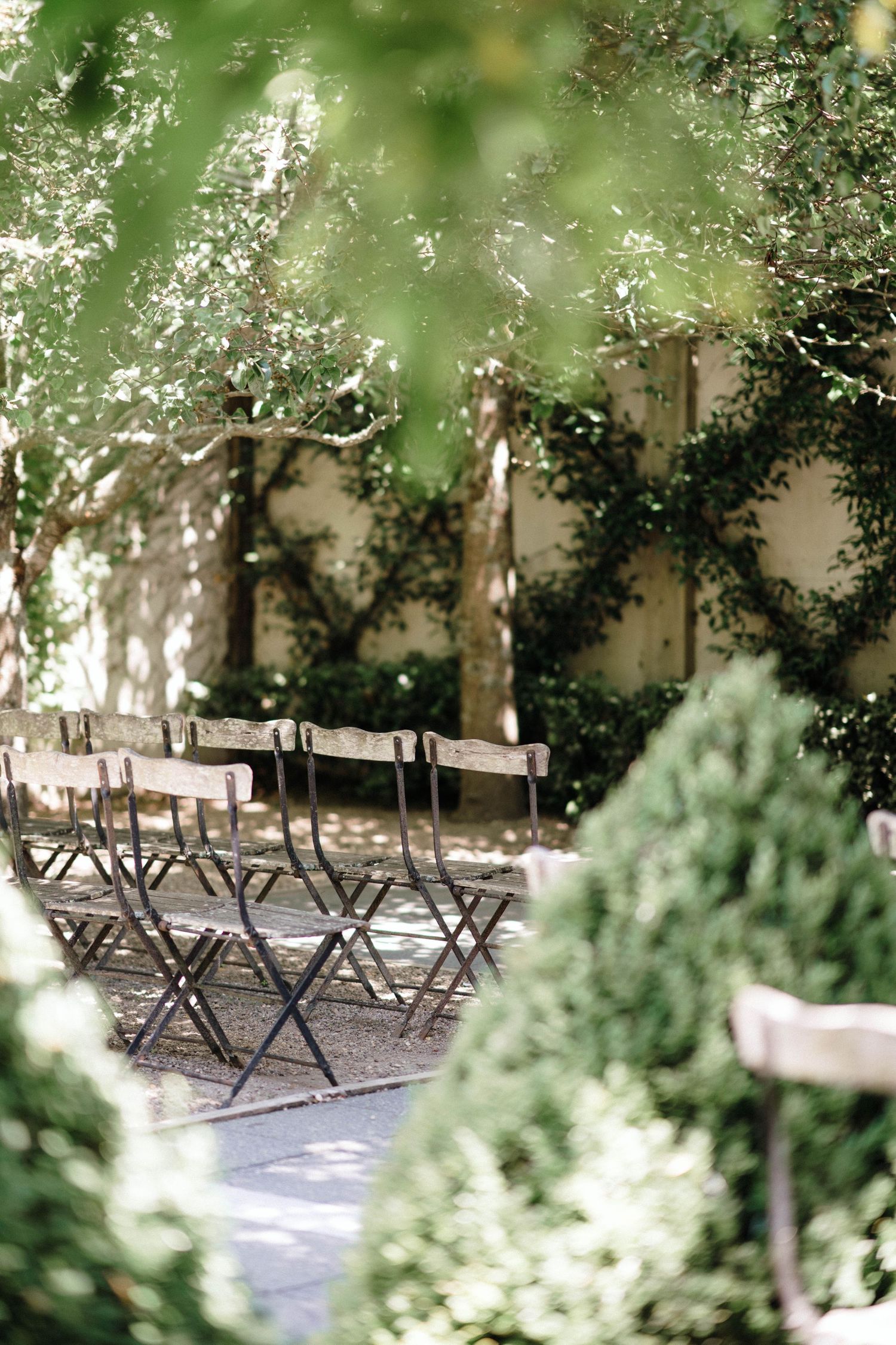 Folding chairs arranged in rows at an outdoor garden venue with lush greenery and natural lighting.