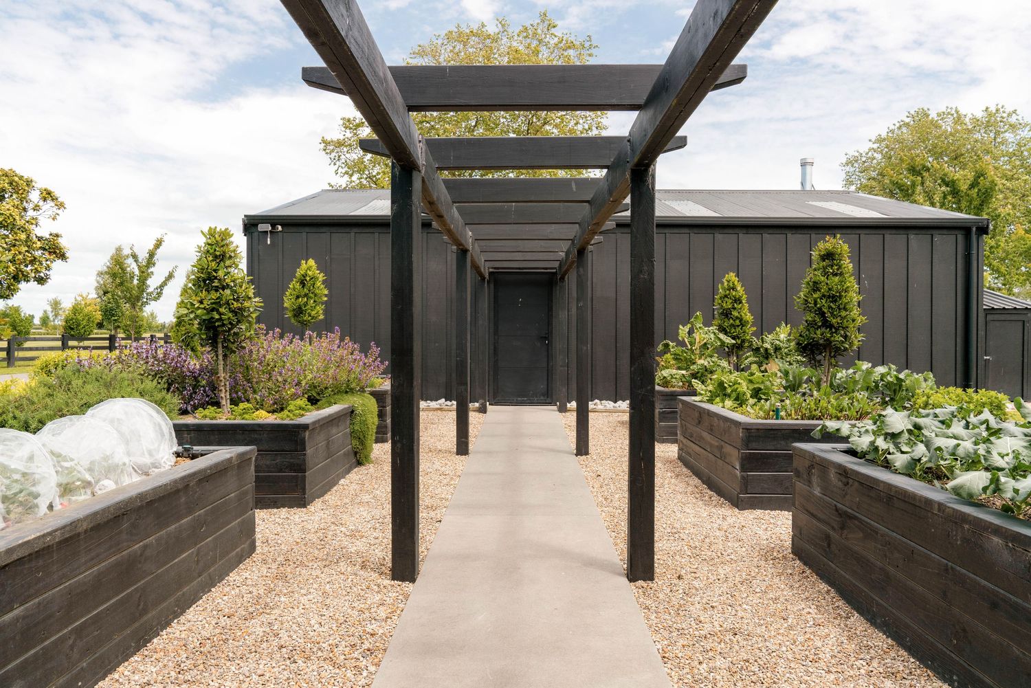 Modern outdoor pergola walkway with dark wood beams and gravel pathway.