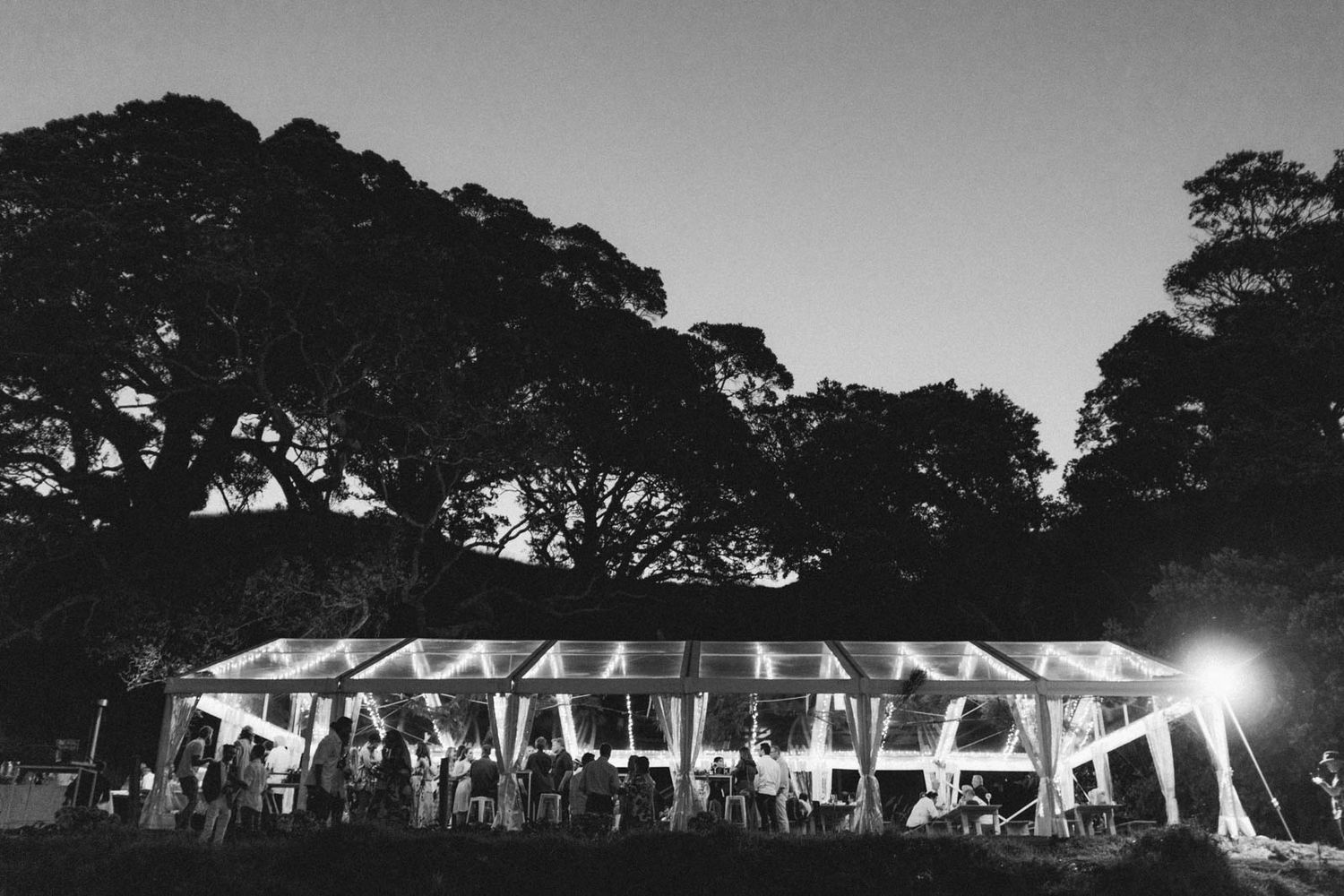 Wedding reception tent glows at night under tall trees in black and white photography.