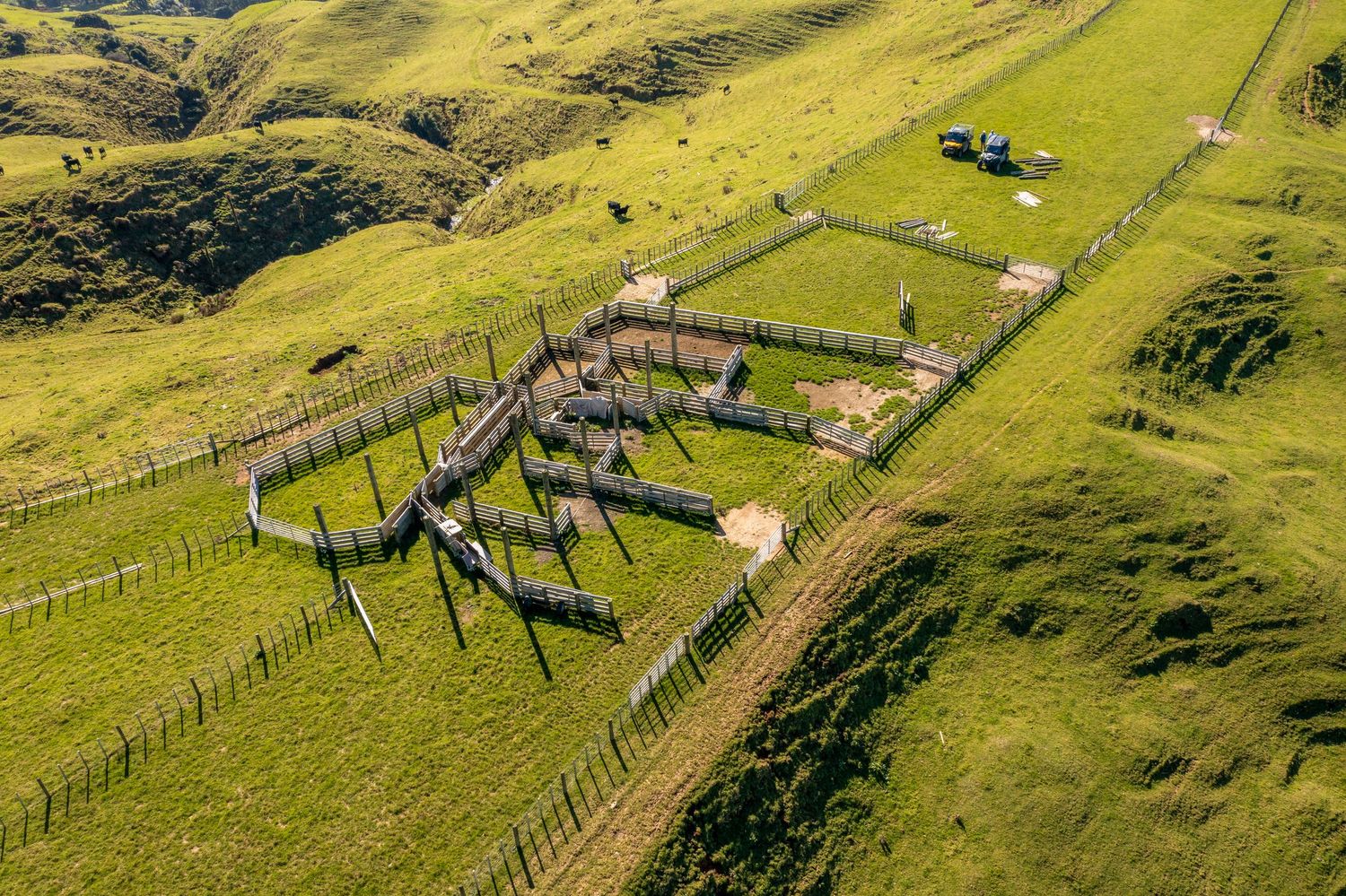 Rolling green hills with scattered buildings and fence lines stretching across a pastoral landscape.