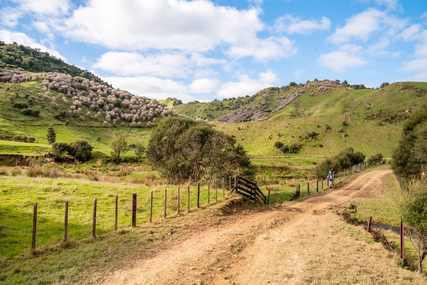 Winding dirt road through pastoral farmland with wooden fence posts and green hills in the background.