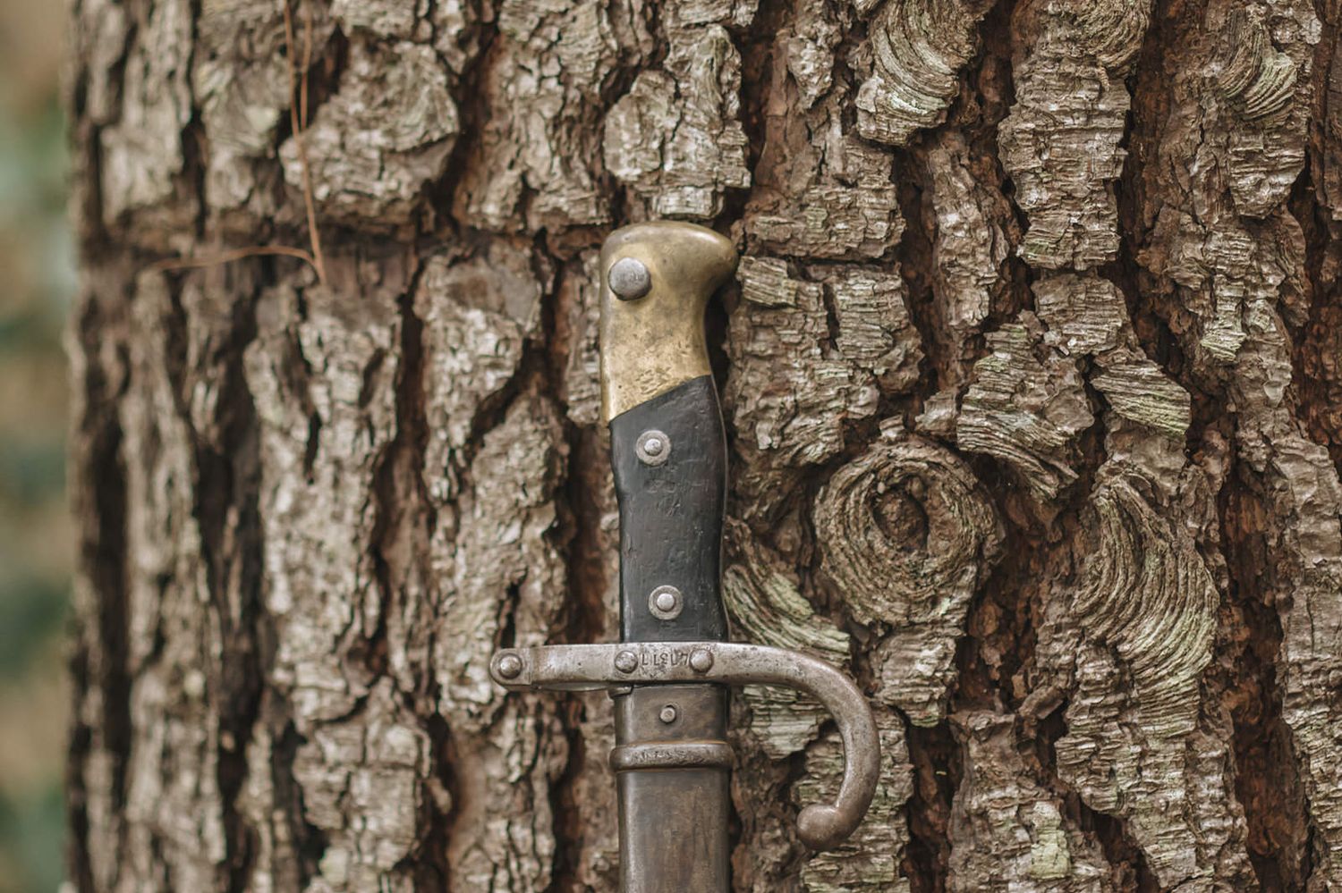A vintage bayonet knife with brass handle embedded into rough tree bark texture.