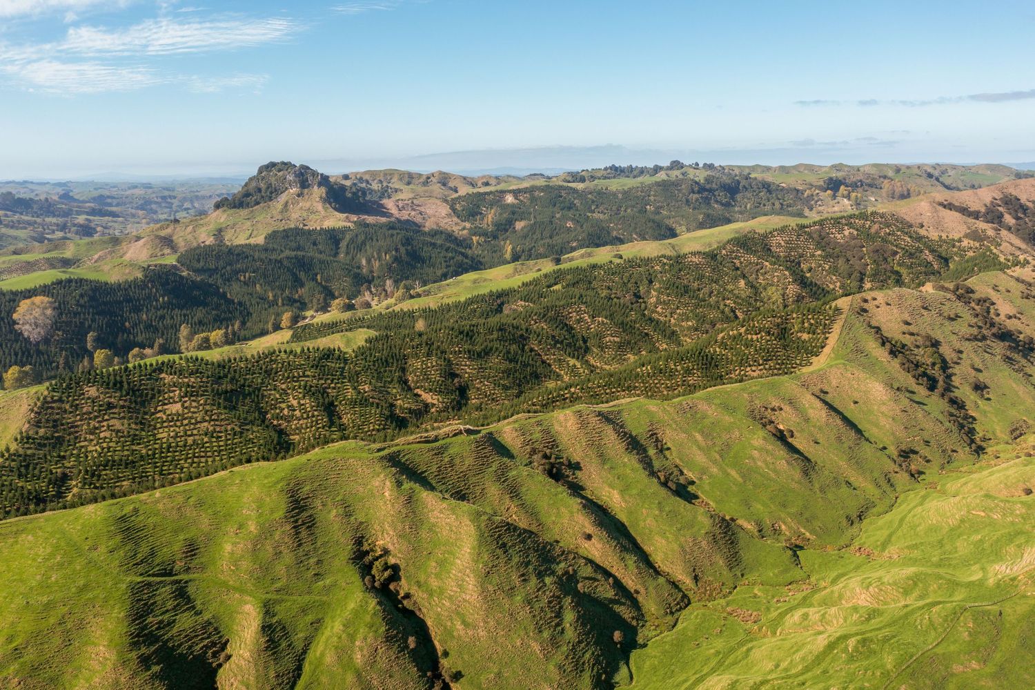 Rolling green hillsides stretch across a vast landscape under blue skies in New Zealand's countryside.