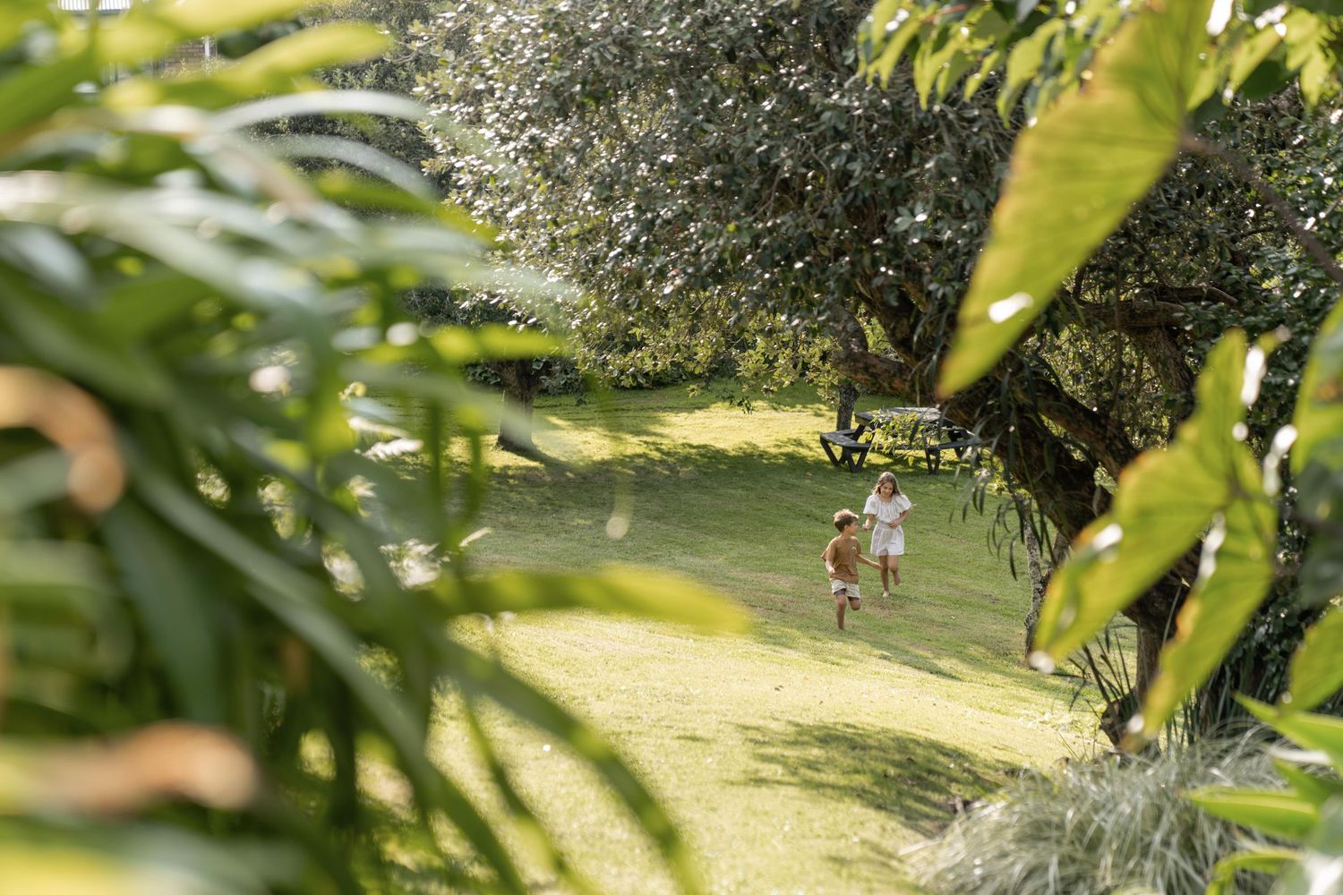 Expansive green lawn with mature trees and landscaping viewed through foliage.