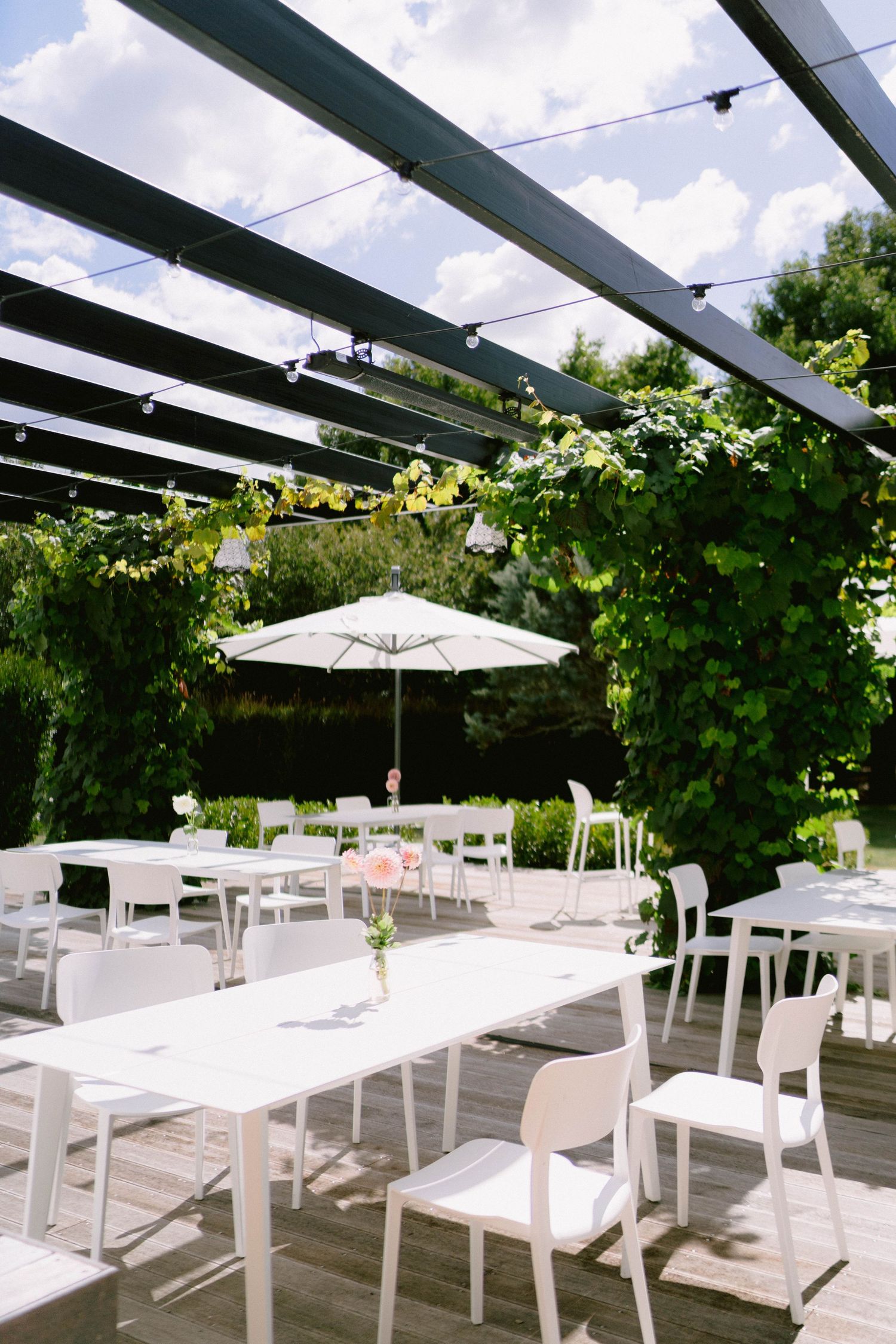 White outdoor restaurant patio seating under a pergola covered with lush green vines and a white umbrella.