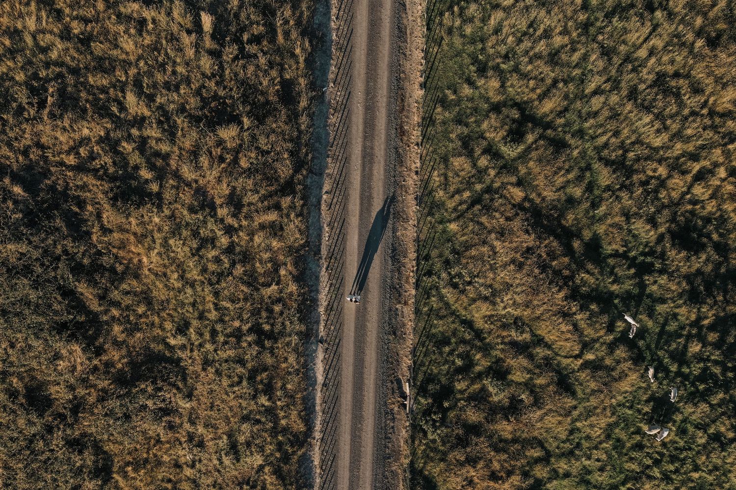 Aerial view of a scenic forest road bordered by dense autumn foliage.