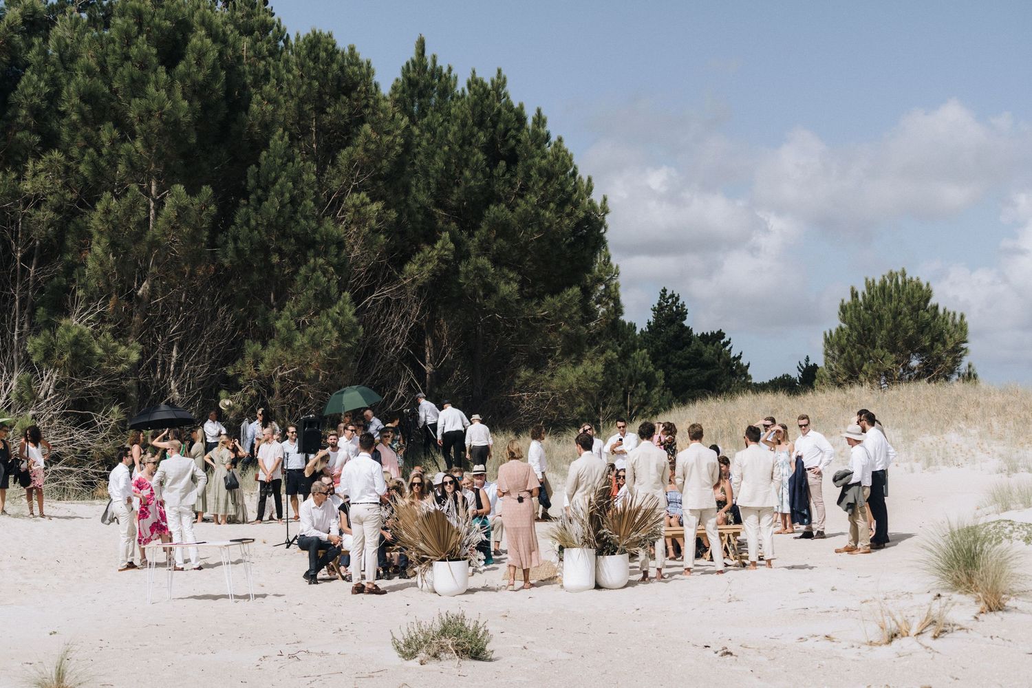 Wedding guests gather on a white sandy beach against a backdrop of pine trees and clear skies.