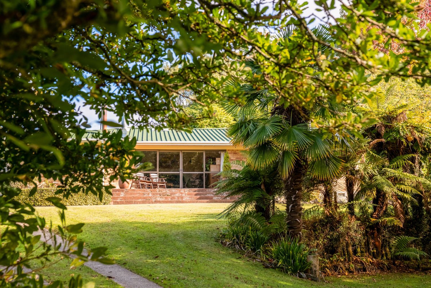 Modern ranch house with covered porch surrounded by lush tropical landscaping and palm trees.