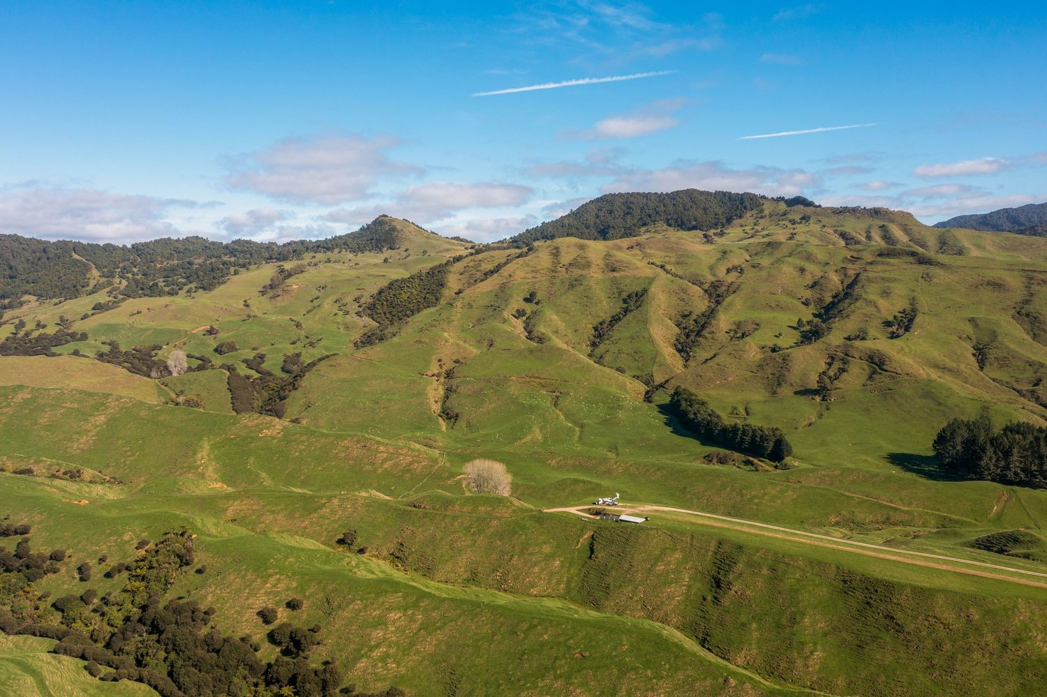 Rolling green hills stretch across a vast pastoral landscape under a bright blue sky with scattered clouds.
