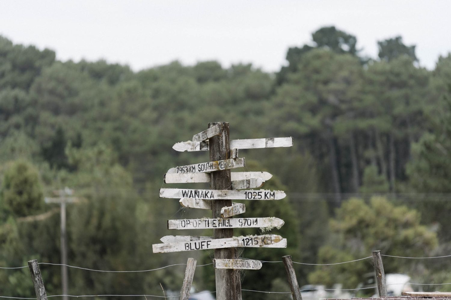 Rustic wooden directional sign post with multiple arrow signs pointing to various destinations against a green forest backdrop.