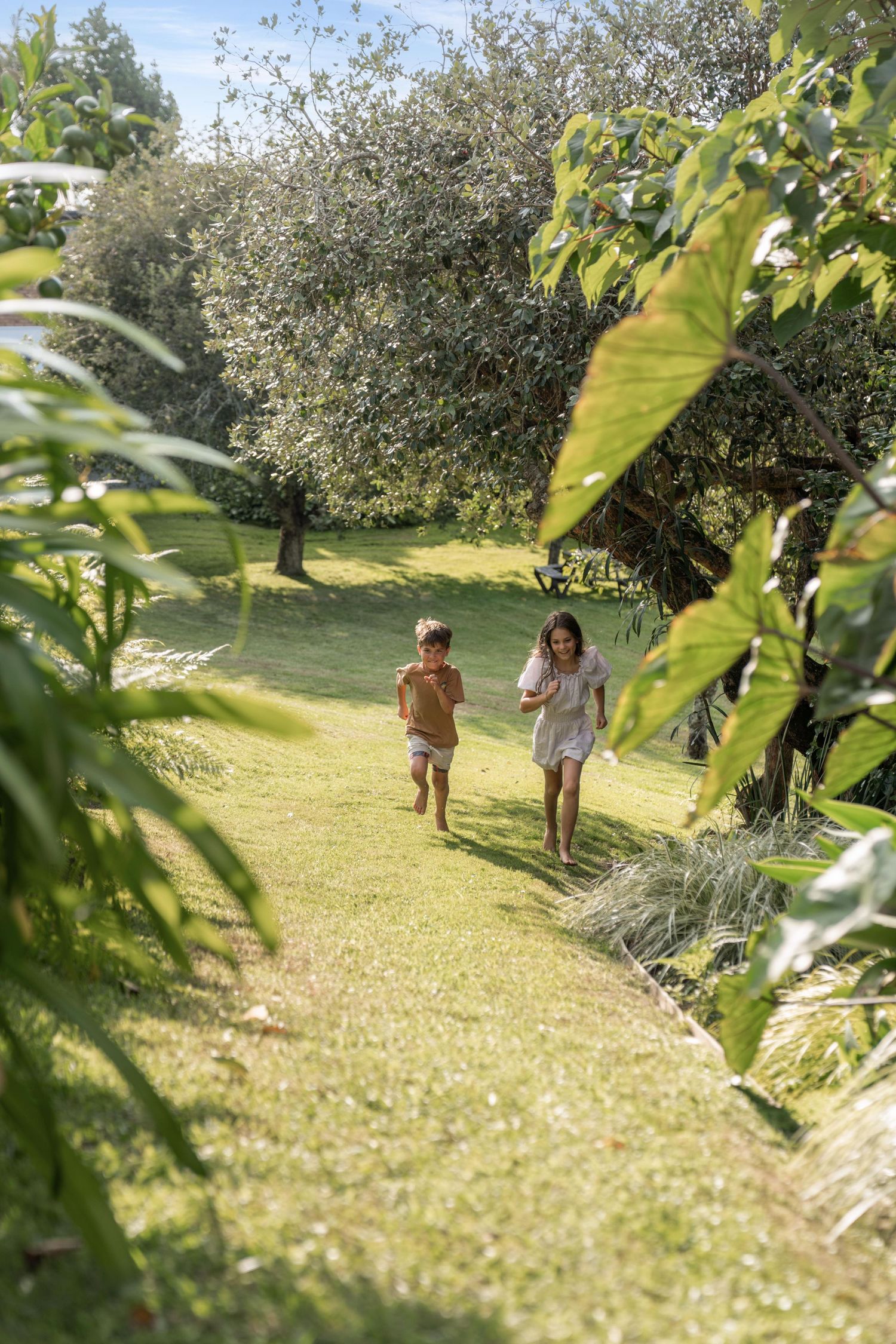 A sun-drenched grassy yard with fruit trees shows people enjoying a leisurely afternoon outdoors.